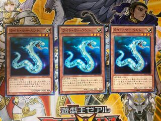 ライト・サーペント　①