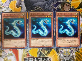 ライト・サーペント　③