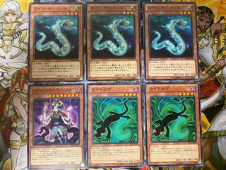 ライト・サーペント3枚　レプティレス・ヴァースキ、カゲトカゲ2枚