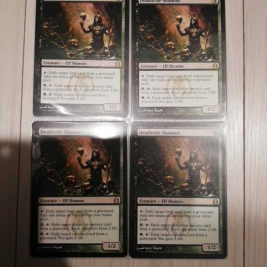 死儀礼のシャーマン　英語　4枚