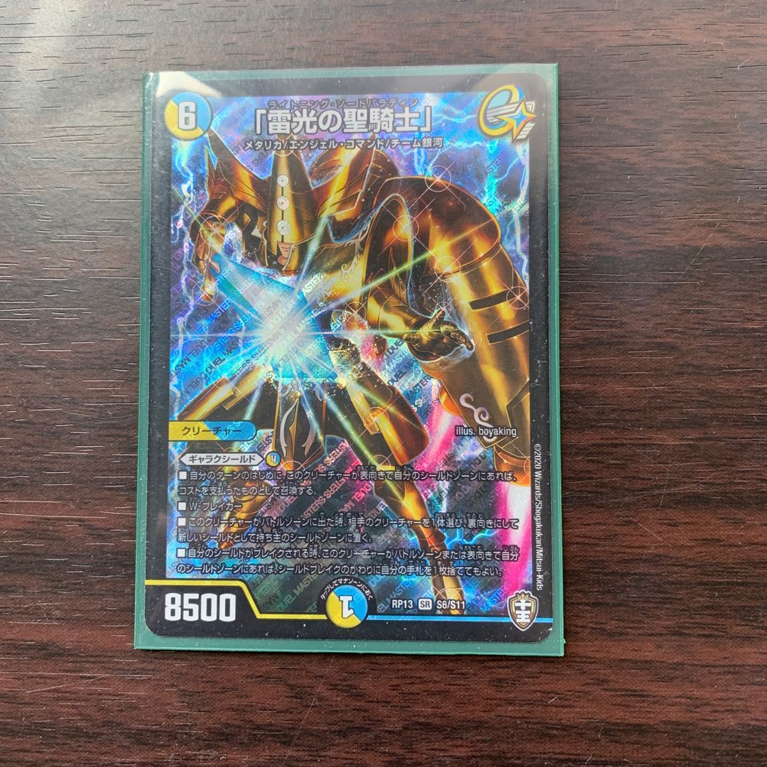 「雷光の聖騎士」