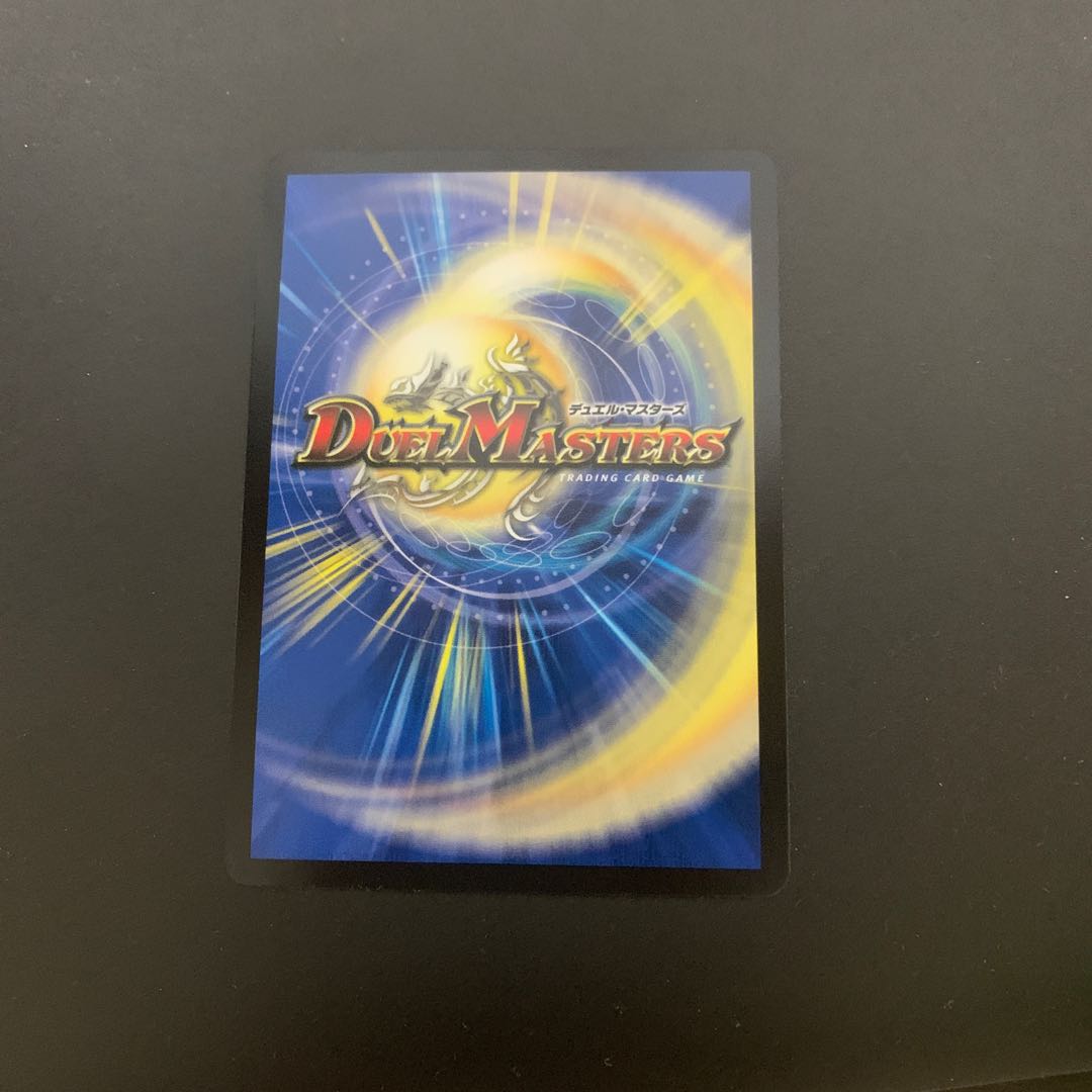 「雷光の聖騎士」