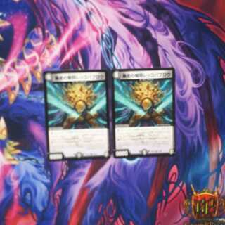 暴走の智将レッコパブロウ　2枚