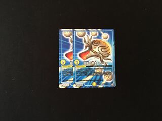 張衛の意志 エイキャ 2枚