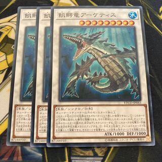 マドレース2285飢鰐竜アーケティス ノーマル