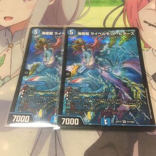 海姫龍 ライベルモット・ビターズ SR