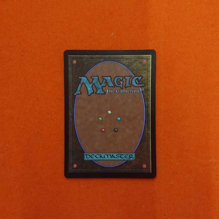 MTG2 Swamp グルランド