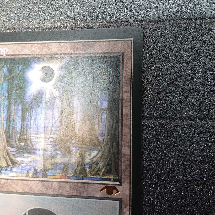 MTG2 Swamp グルランド