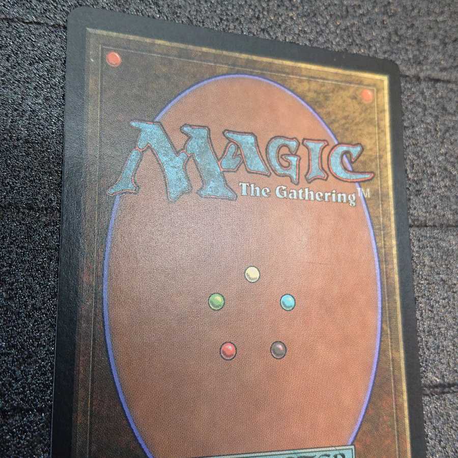 MTG2 Swamp グルランド