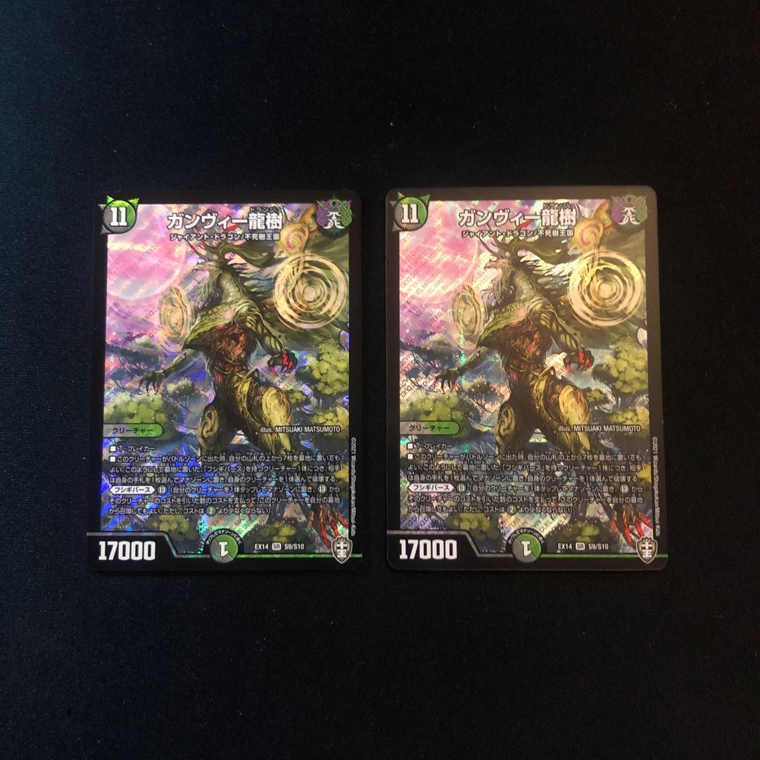 ガンヴィー龍樹