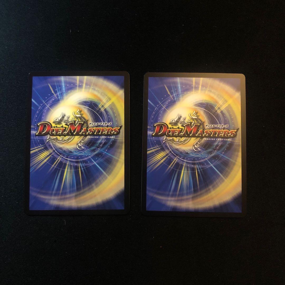 ガンヴィー龍樹