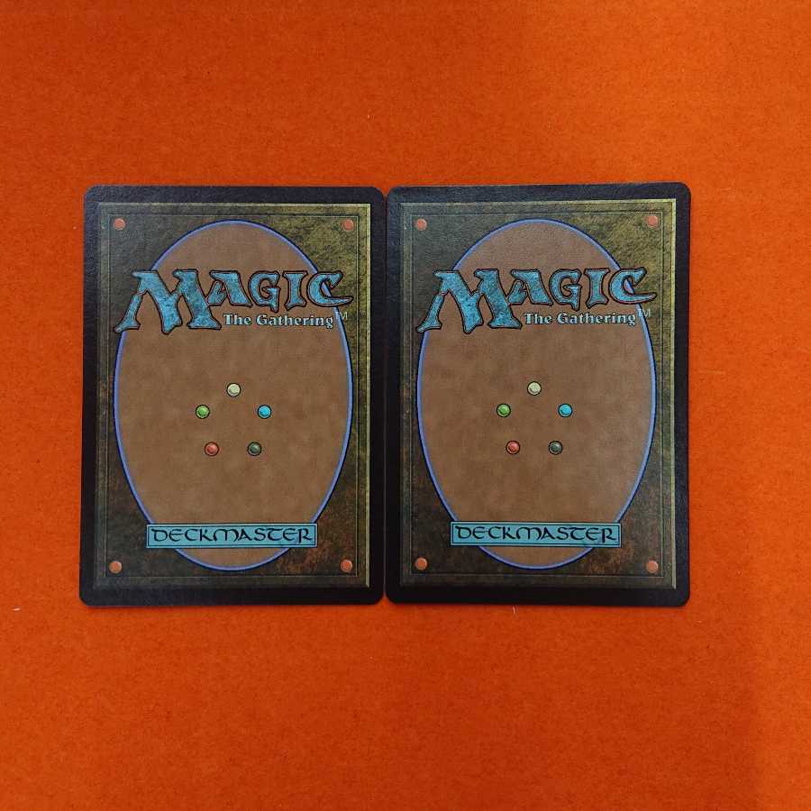 MTG Plains Euro 1 Set of 2