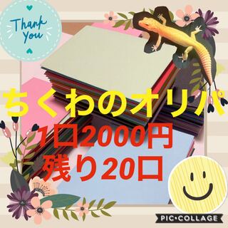 5口購入用 10000円