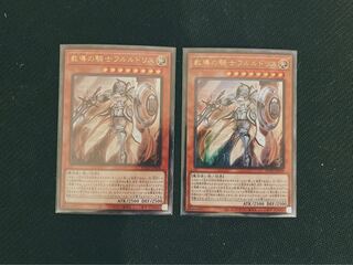 教導の騎士フルルドリス　SR 2枚セット