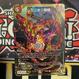 一王二命三眼槍　シク