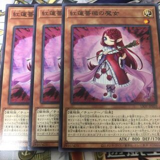 遊戯王　紅蓮薔薇の魔女 ノーマル3枚セット
