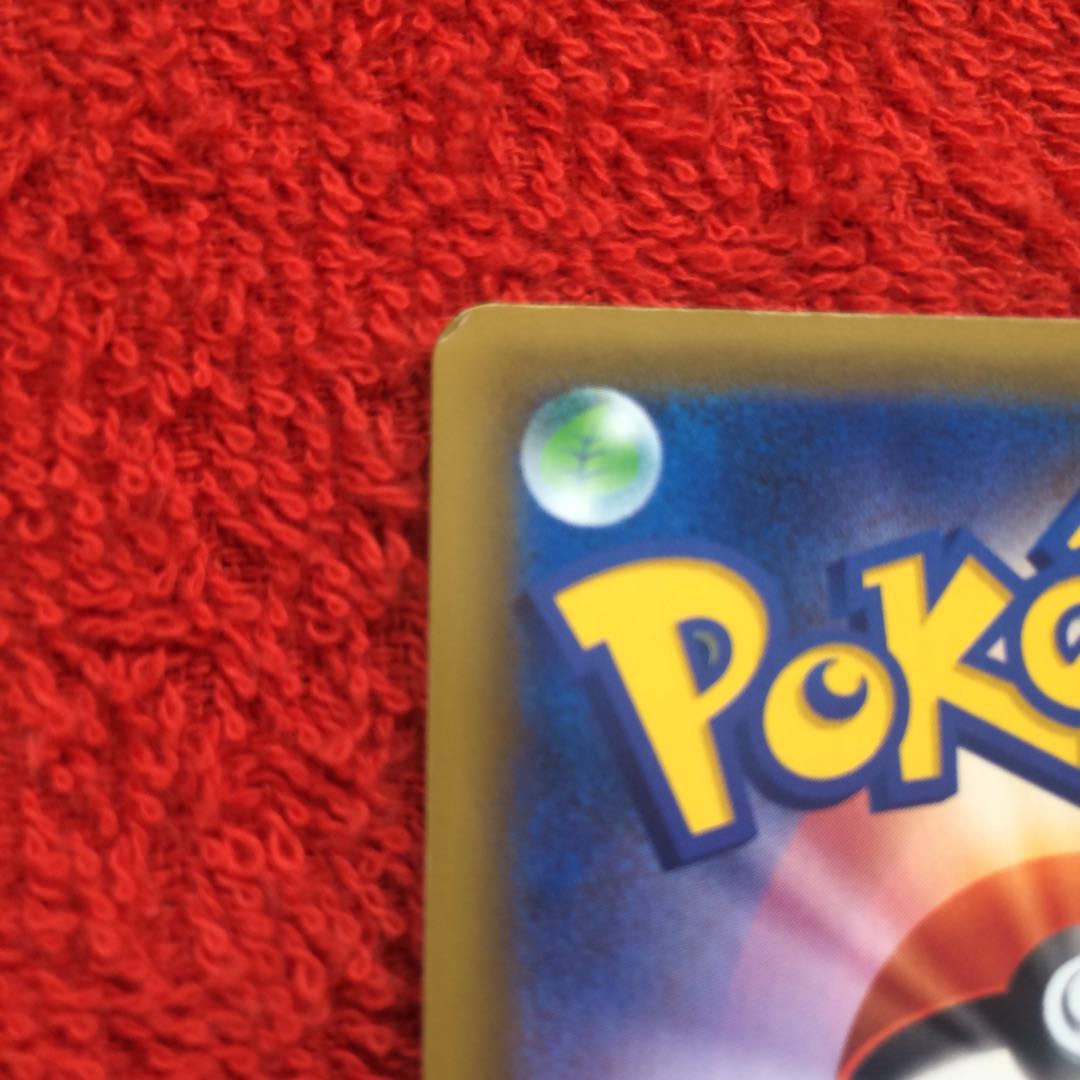 エリカのおもてなし SR