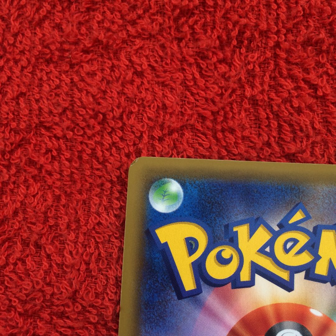 エリカのおもてなし SR