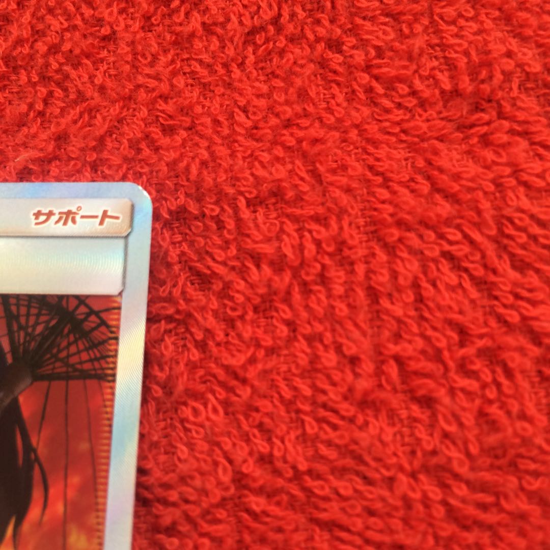 エリカのおもてなし SR