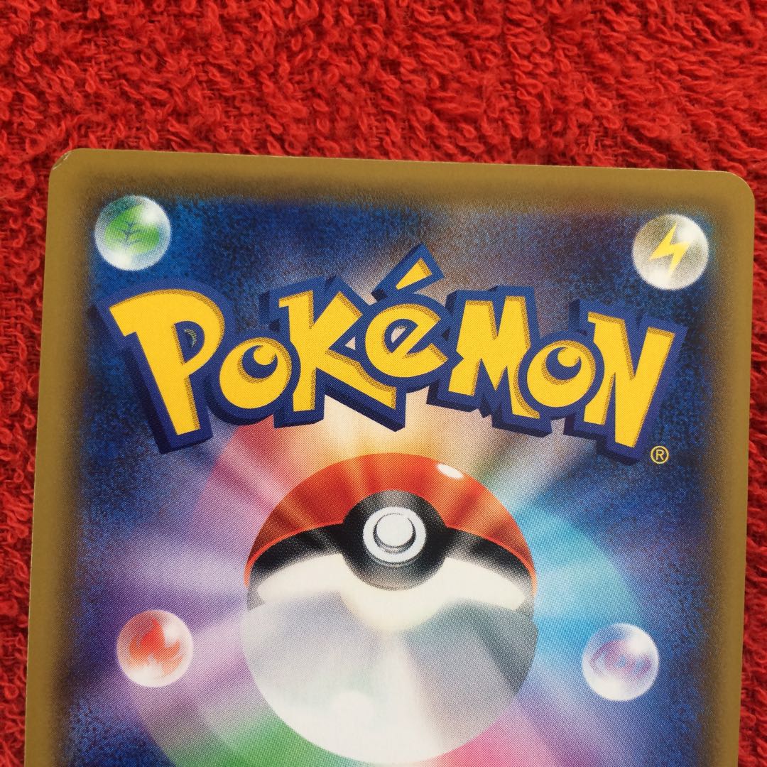 エリカのおもてなし SR