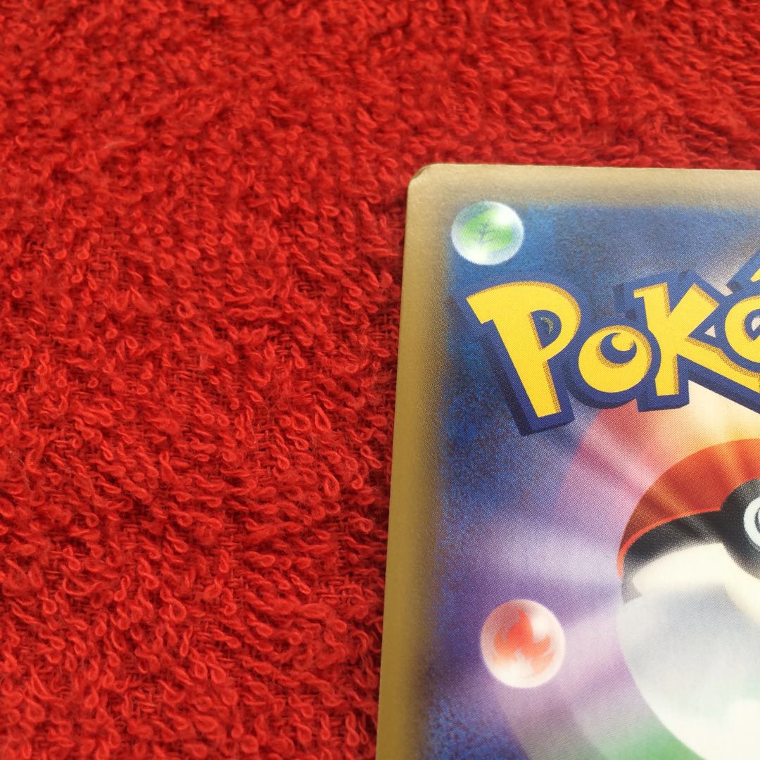 エリカのおもてなし SR