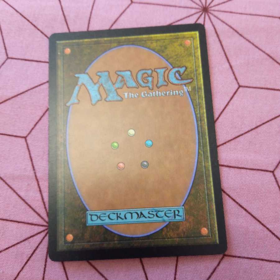 スリヴァーの巣　日1枚