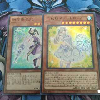 六花精ボタン/六花精スノードロップ セット