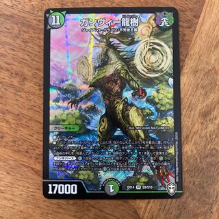 ガンヴィー龍樹