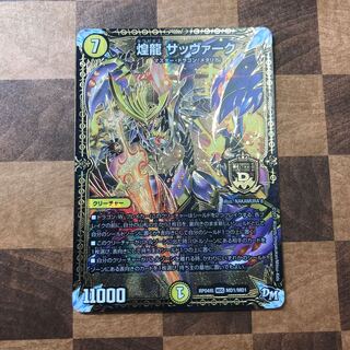 煌龍 サッヴァーク