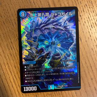 水上第九院 シャコガイル