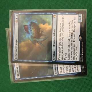 天上の餌あさり 英語版 2枚