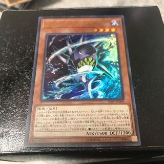 ライトハンド・シャーク ウルトラレア