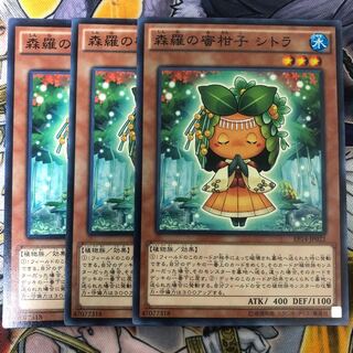 遊戯王　森羅の蜜柑子 シトラ ノーマル3枚セット