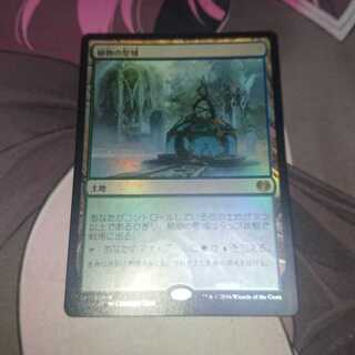 植物の聖域 Foil