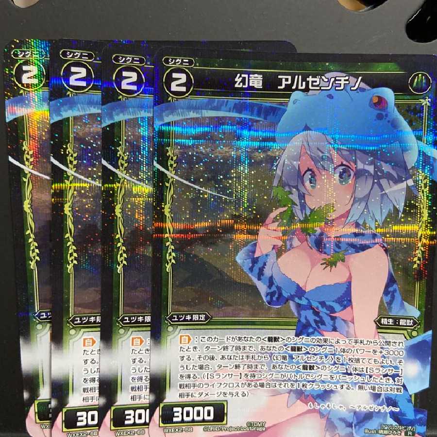 アルゼンチノ　40枚