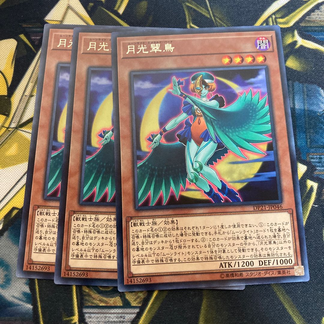 マドレース2061月光翠鳥 レア