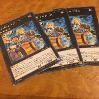 十二獣タイグリス ノーマル