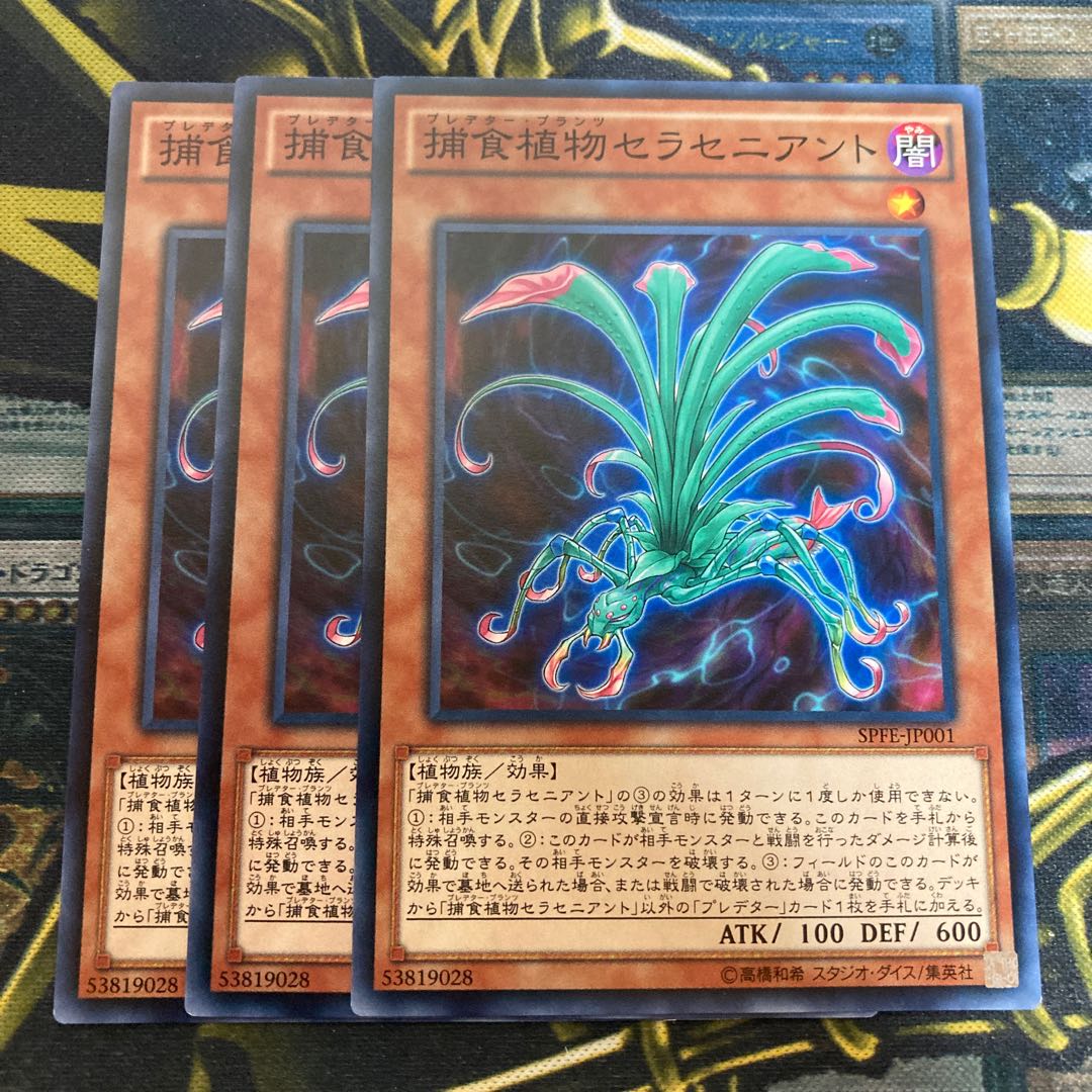 マドレース2823捕食植物セラセニアント ノーマル