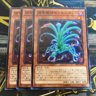 マドレース2823捕食植物セラセニアント ノーマル