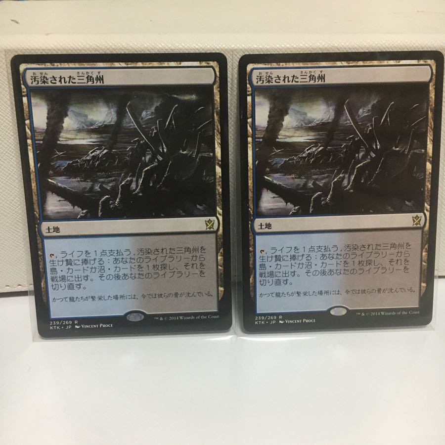 汚染された三角州　2枚