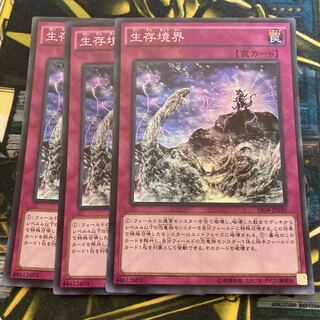 マドレース859生存境界 スーパーレア