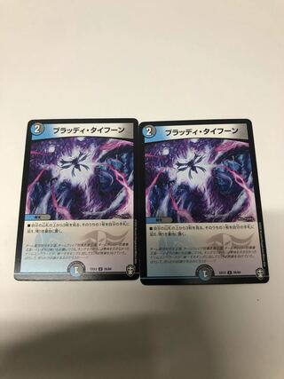 ブラッディ・タイフーン2枚セット