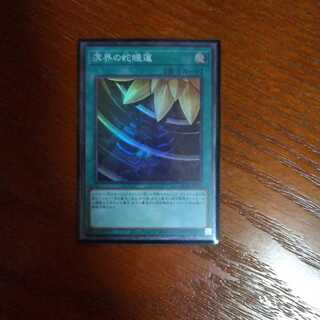 最安値溟界の蛇睡蓮 スーパーレア