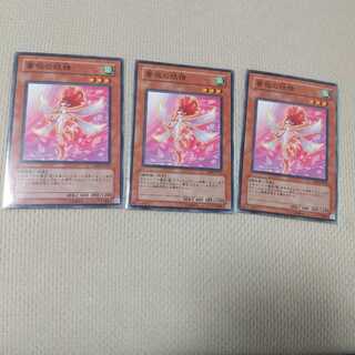 薔薇の妖精 三枚セット