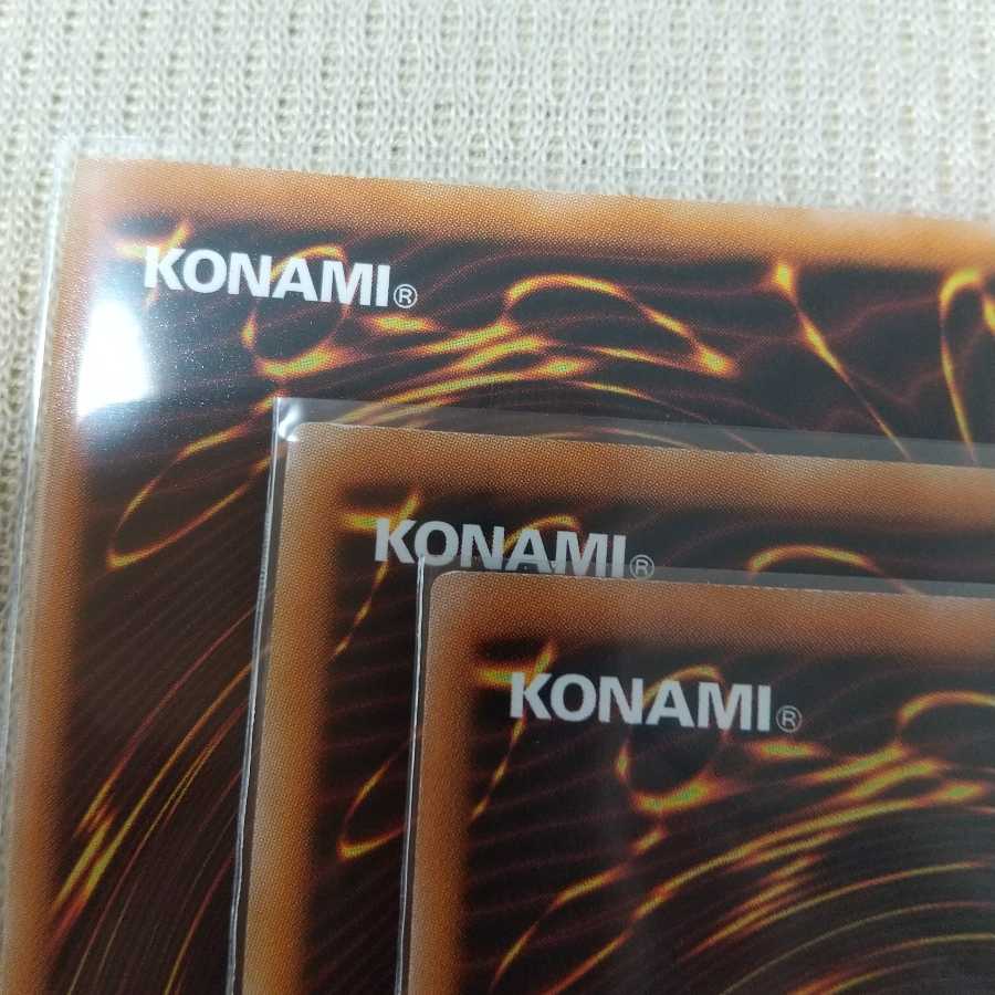 薔薇の妖精 三枚セット