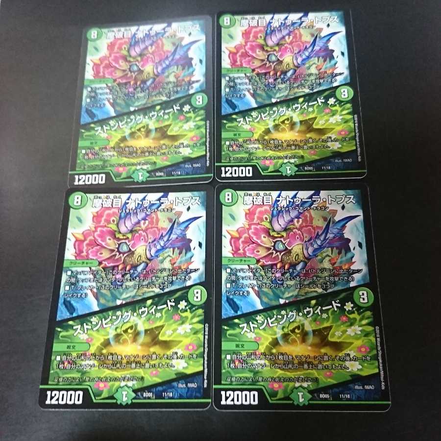 摩破目 ナトゥーラ・トプス|ストンピング・ウィード