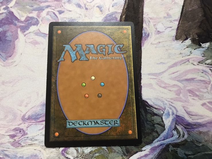 集合した中隊　日本語