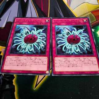 バージェストマ・ディノミスクス レア×2