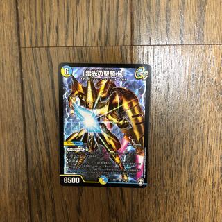 「雷光の聖騎士」