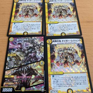 真実の名 タイガー・レジェンド VR